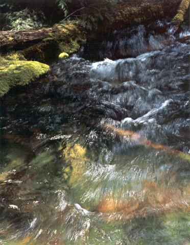 water, Jack Creek, Oregon, 1966