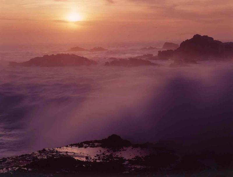 Sea Lion Rocks, sunset