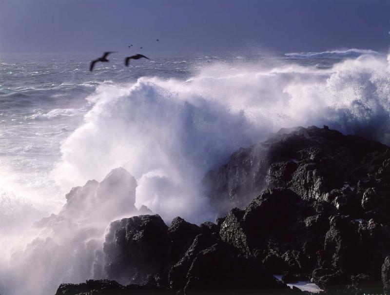 birds and approaching storm, Big Sur Coast